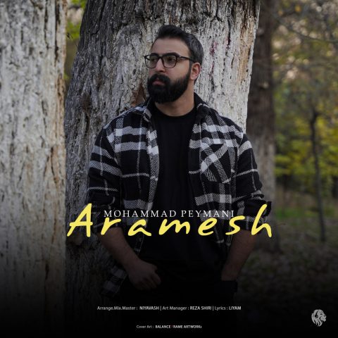 دانلود آهنگ محمد پیمانی آرامش